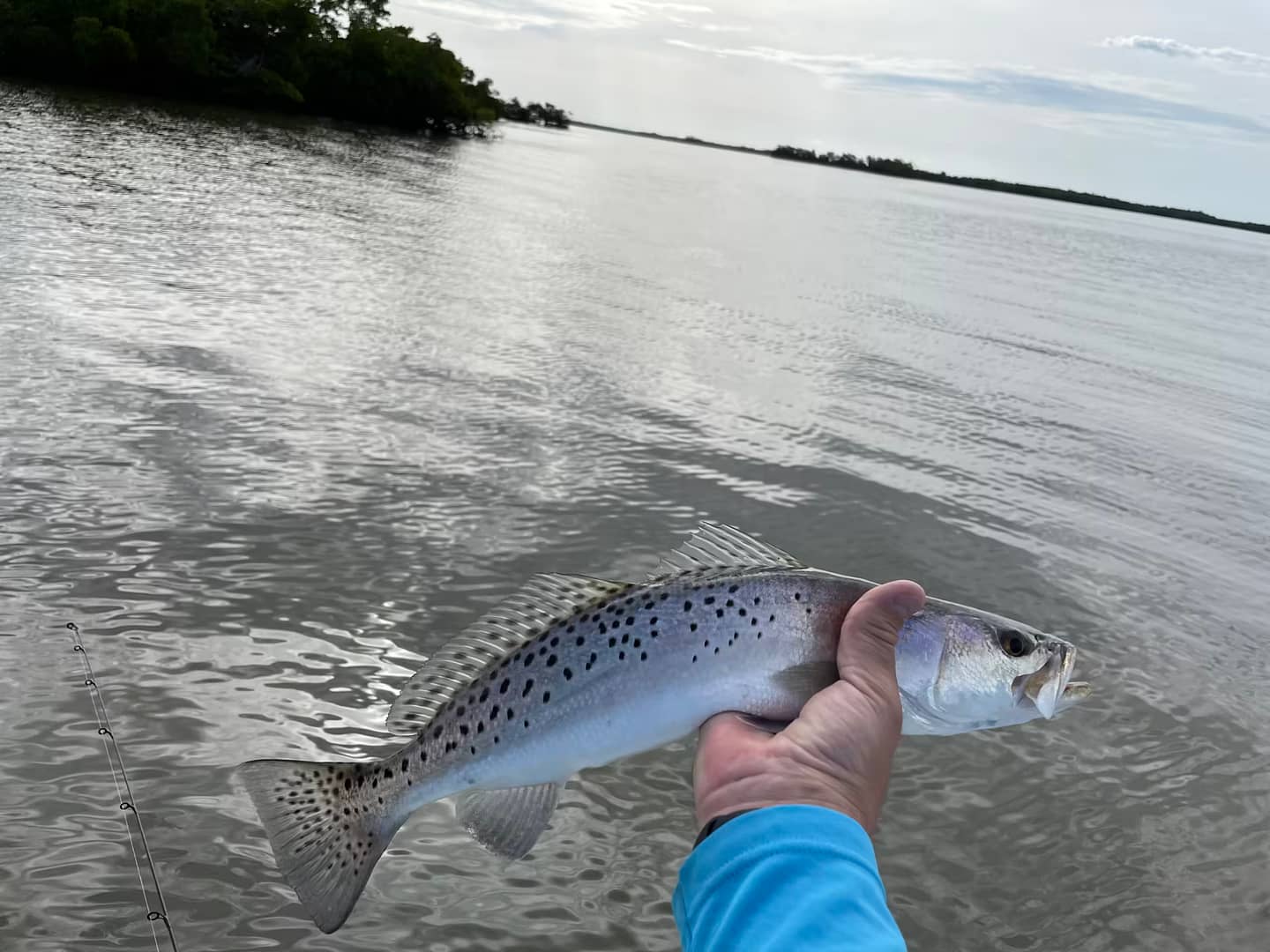 5 Best Lures for Speckled Trout: A Guide to Success